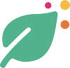 custom_website